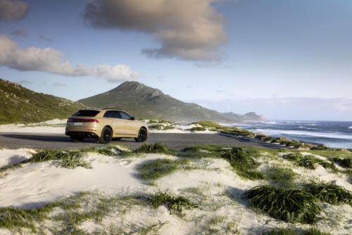 2024 Audi Q8